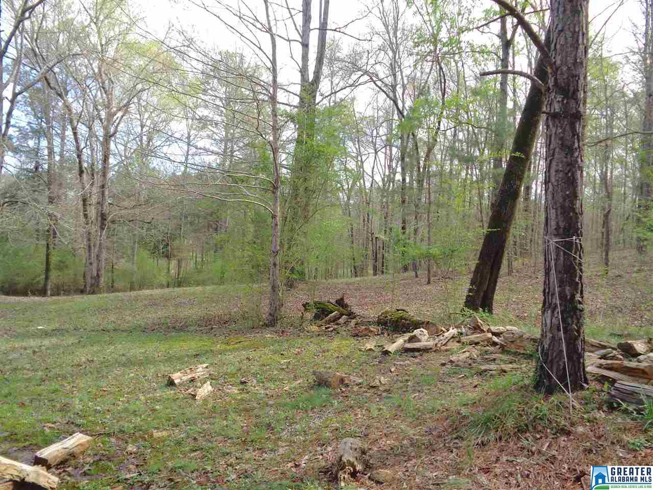 435 Williams Rd, Jasper, AL 35503 photo 31
