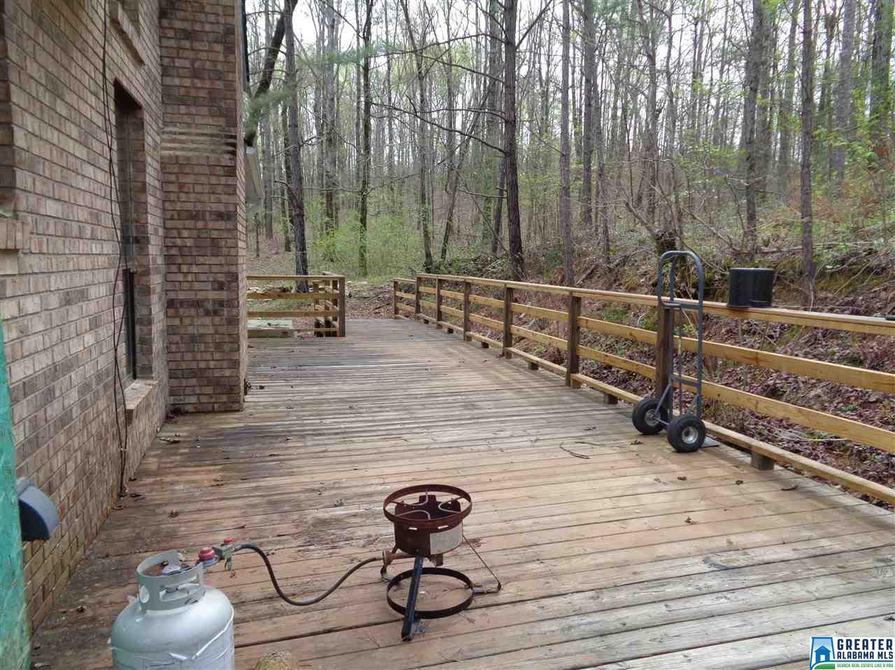 435 Williams Rd, Jasper, AL 35503 photo 30