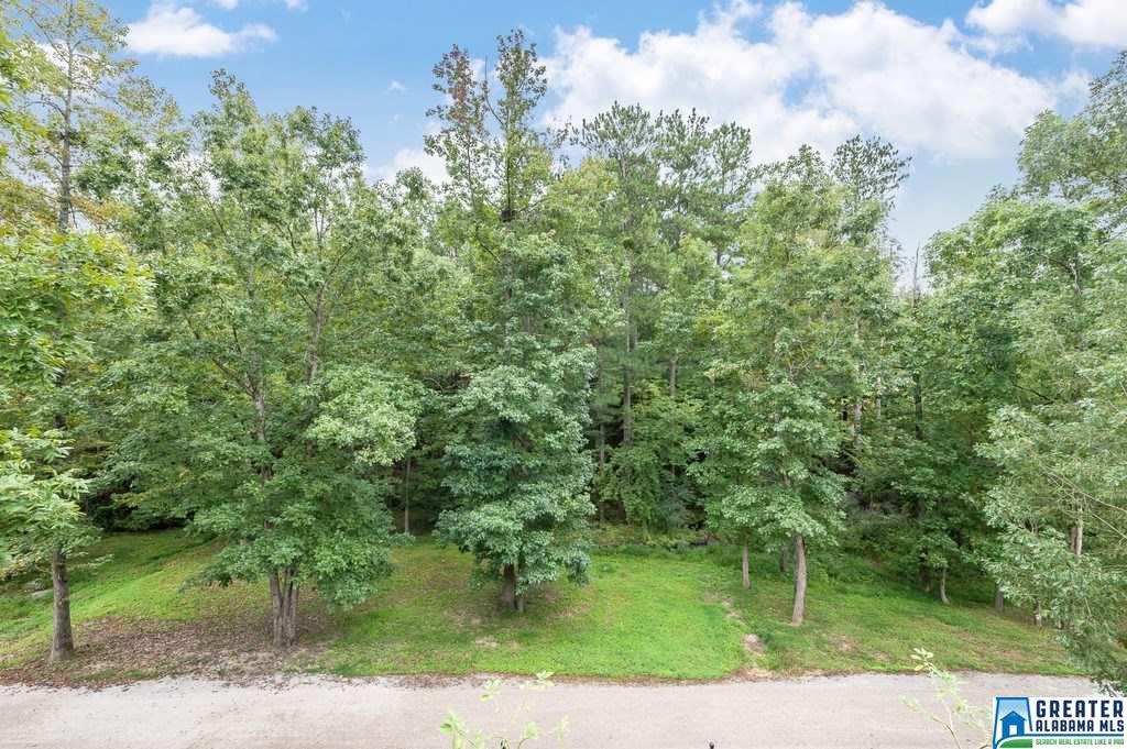 200 Leaf Ln, Alabaster, AL 35007 photo 32