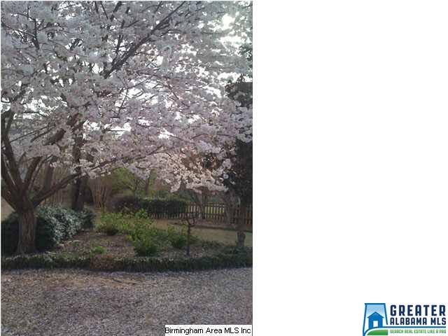 200 Leaf Ln, Alabaster, AL 35007 photo 3