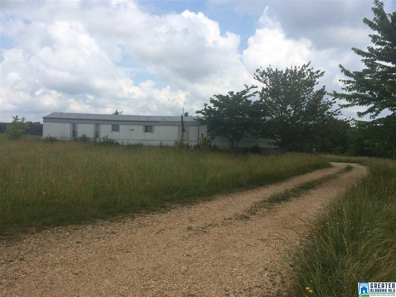 8945 County Road 8, Waterloo, AL 35677 photo 1