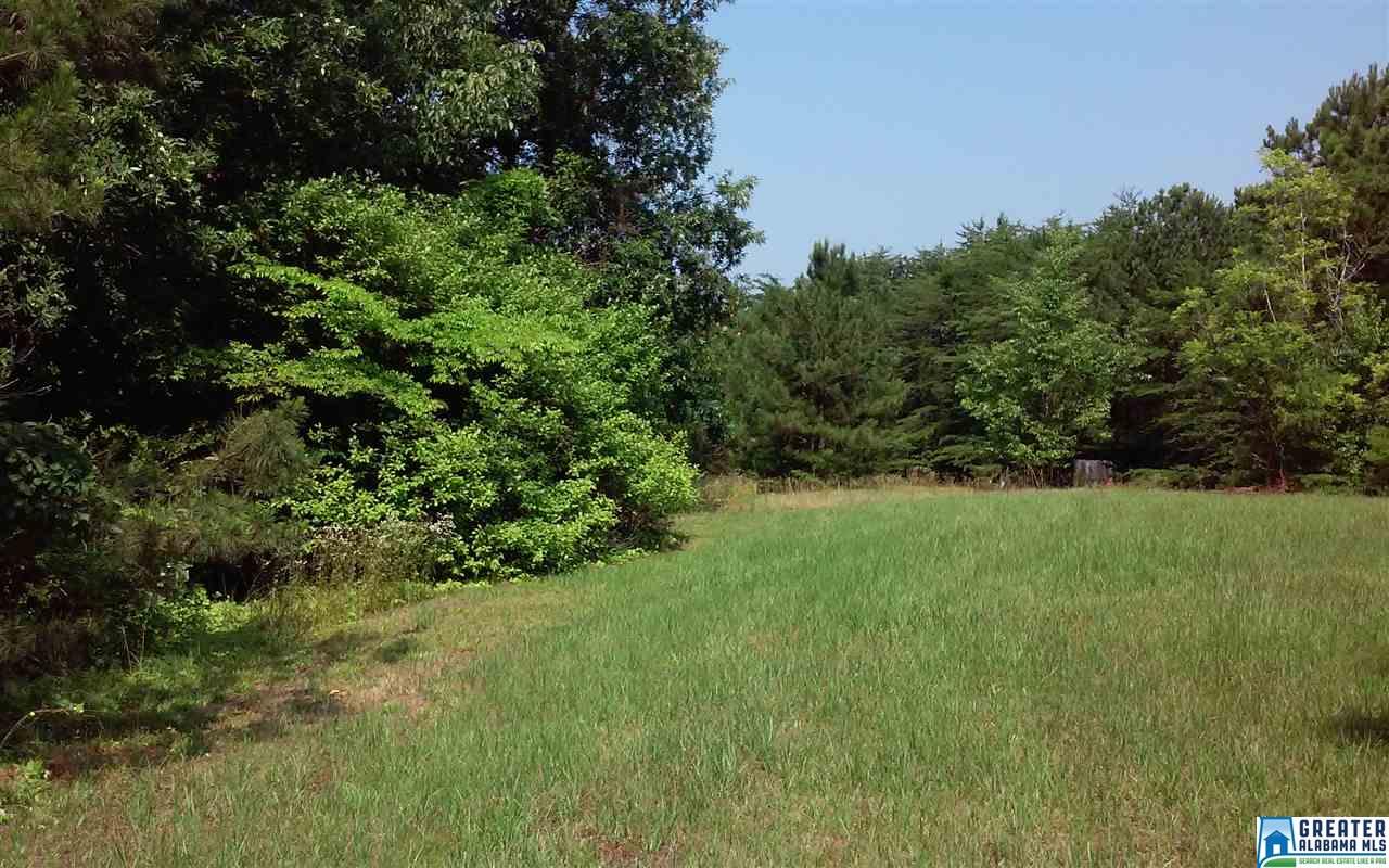 586 Dailey Cir, Oneonta, AL 35121 photo 14