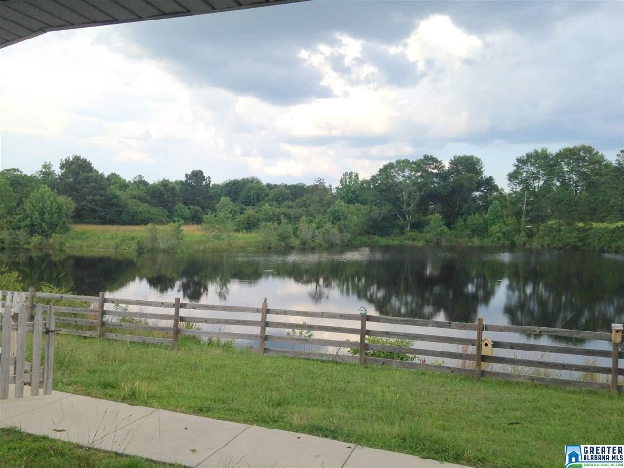 425 County Road 407, Clanton, AL 35045 photo 22