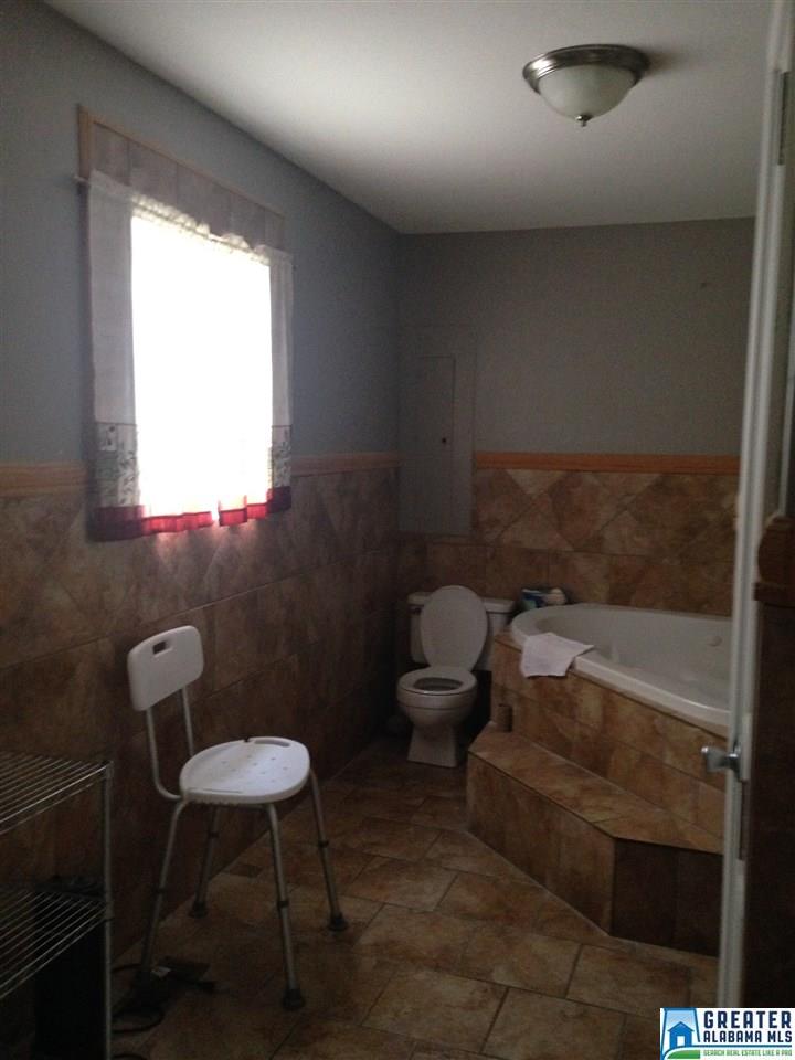 425 County Road 407, Clanton, AL 35045 photo 12