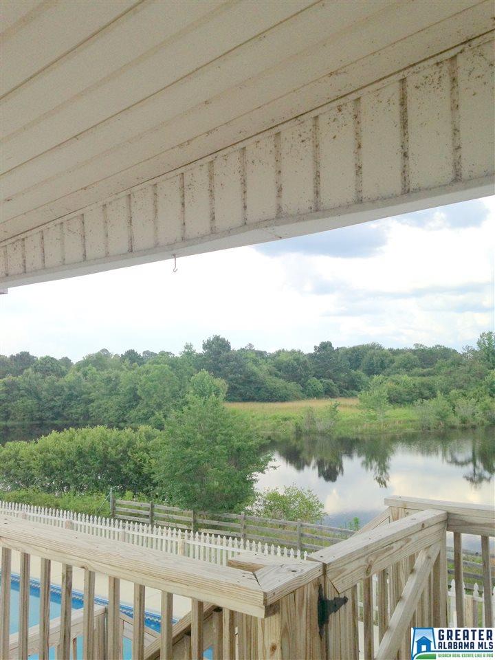 425 County Road 407, Clanton, AL 35045 photo 21
