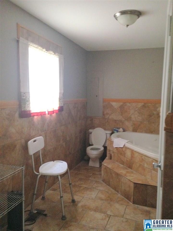 425 County Road 407, Clanton, AL 35045 photo 20