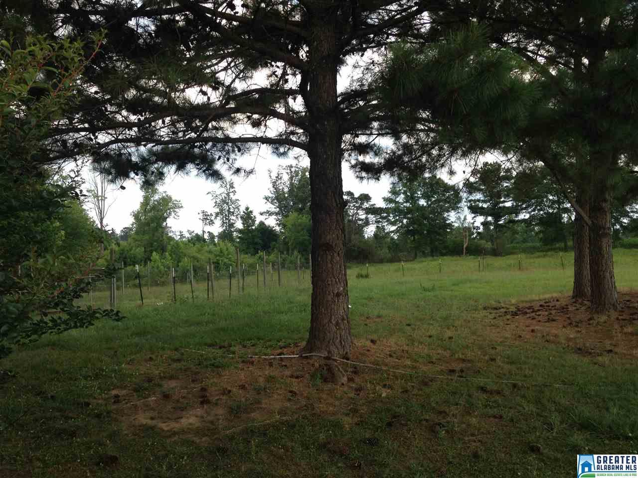425 County Road 407, Clanton, AL 35045 photo 18