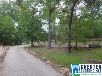 480 Timber Trl, Warrior, AL 35180 photo 3