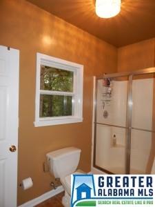 480 Timber Trl, Warrior, AL 35180 photo 18