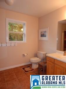 480 Timber Trl, Warrior, AL 35180 photo 19