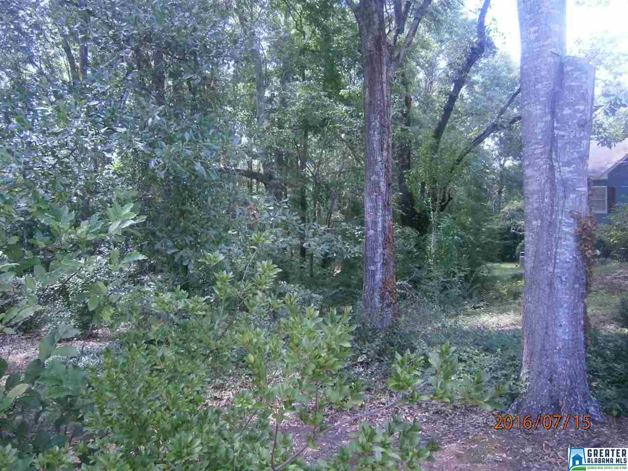 104 Windover Dr, Clanton, AL 35045 photo 18