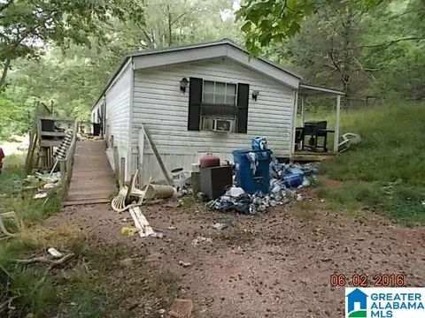 325 Young Rd, Remlap, AL 35133 photo 1