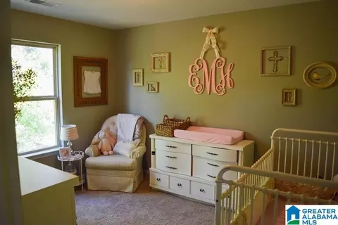 870 Braddock Rd E, Springville, AL 35146 photo 27