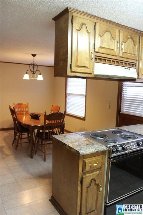 1010 Longbrook Dr, Jasper, AL 35501 photo 16