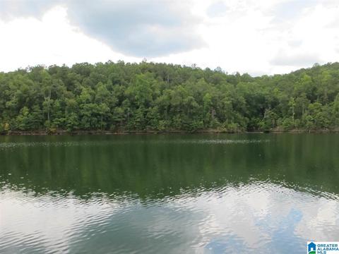 210 Overlook Way #1, Wedowee, AL 36278