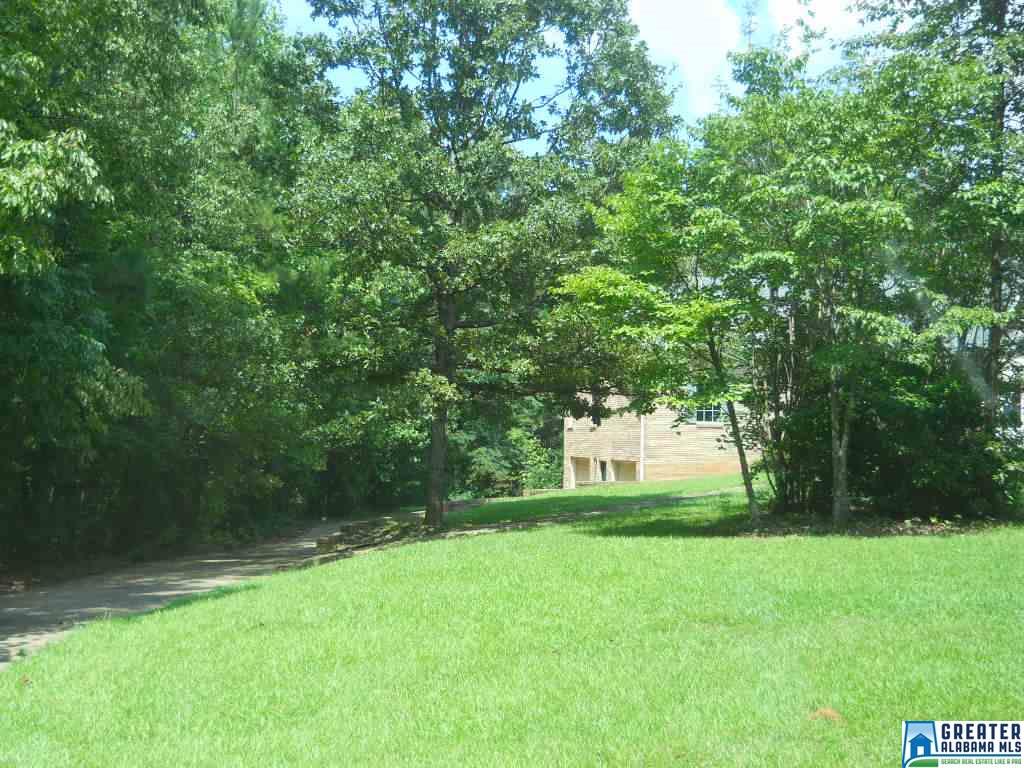 85 Ashley Ln, Dora, AL 35062 photo 17