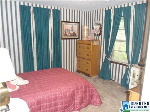 421 Commerce Ave, Dora, AL 35062 photo 21