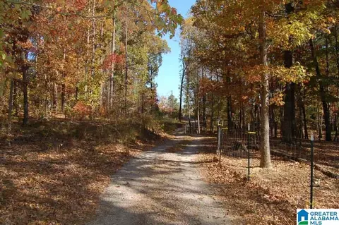 249 Brown Hill Rd, Steele, AL 35987 photo 22