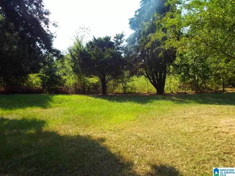 3221 Ebell Rd, Oneonta, AL 35121 photo 7
