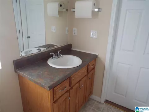 3221 Ebell Rd, Oneonta, AL 35121 photo 27
