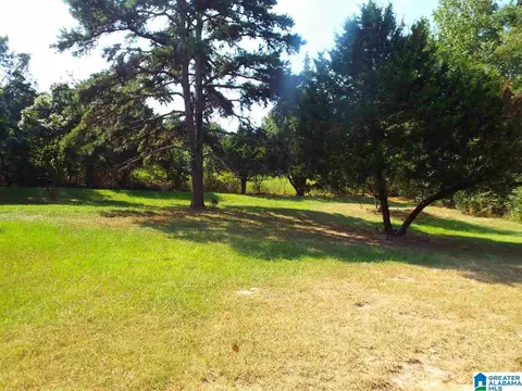 3221 Ebell Rd, Oneonta, AL 35121 photo 4