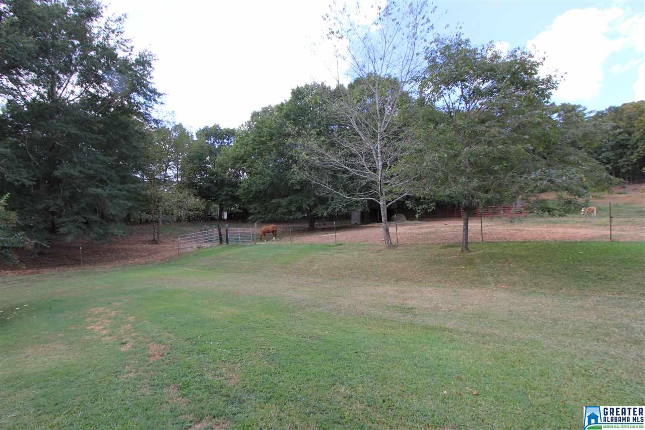 315 Jamback Rd, Anniston, AL 36207 photo 43