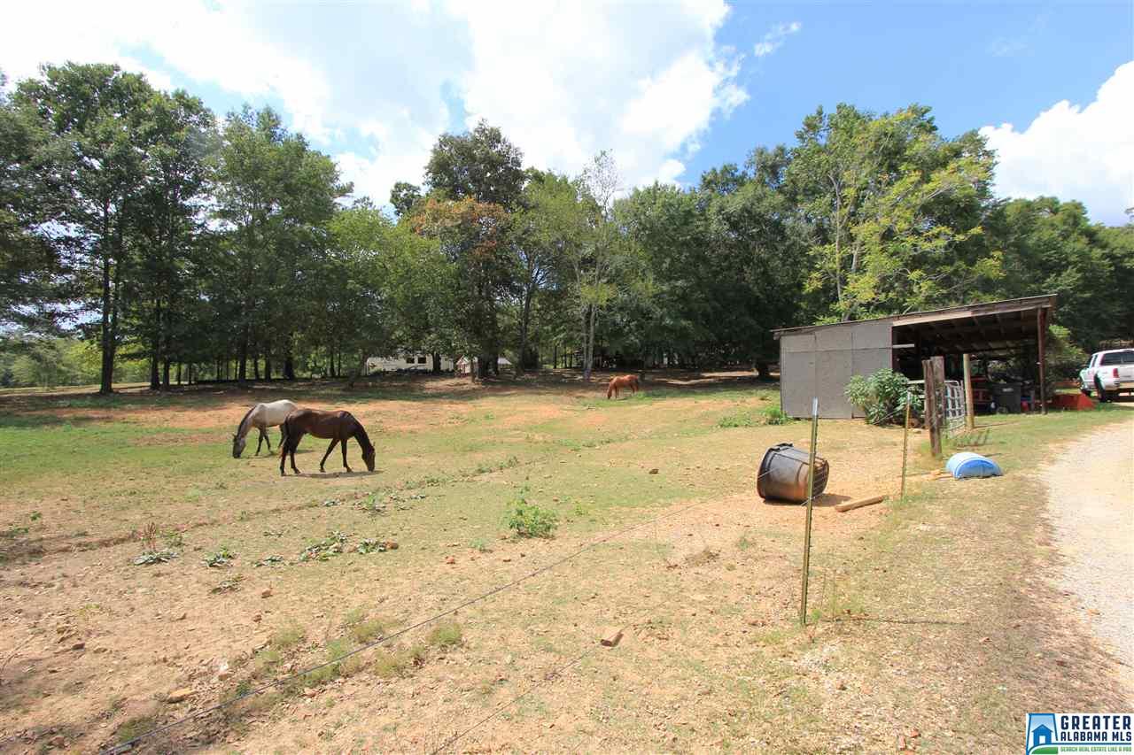 315 Jamback Rd, Anniston, AL 36207 photo 20