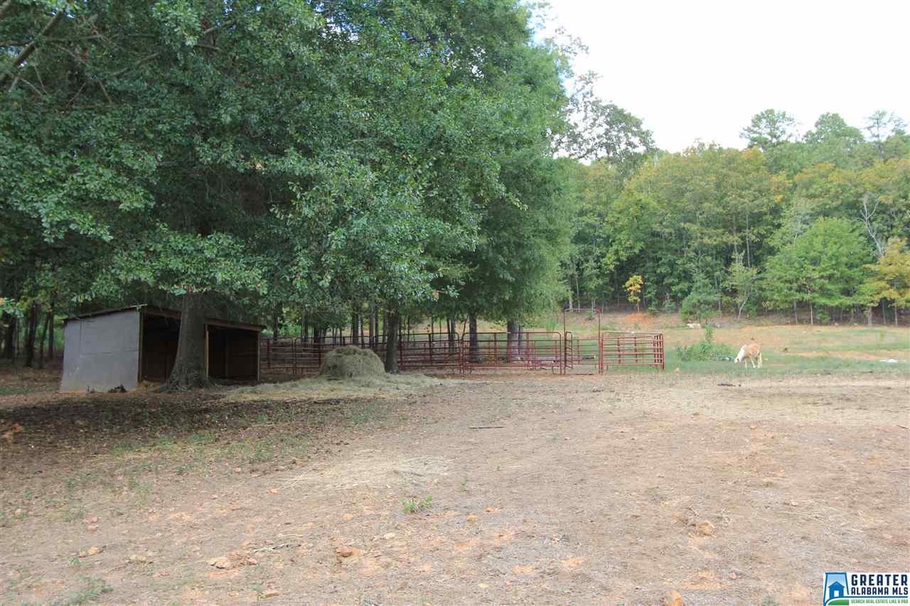 315 Jamback Rd, Anniston, AL 36207 photo 18