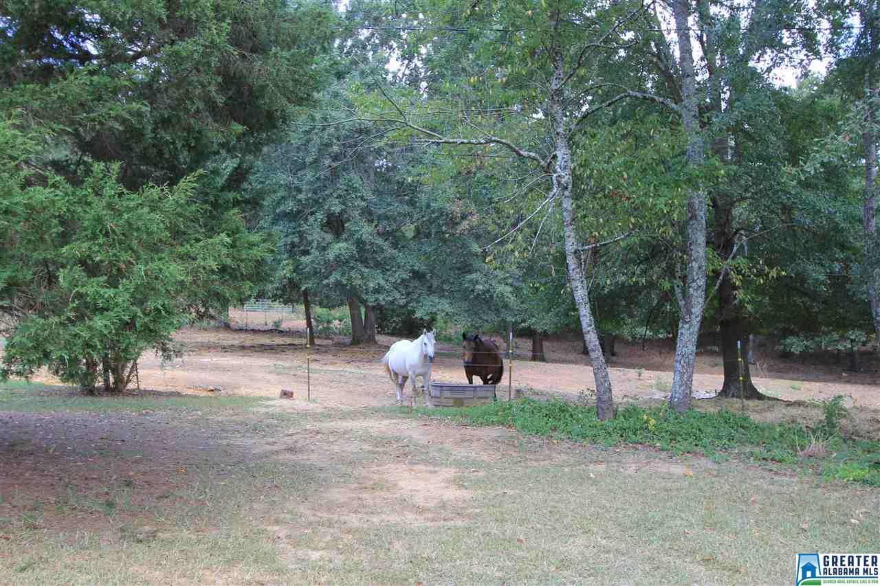 315 Jamback Rd, Anniston, AL 36207 photo 44