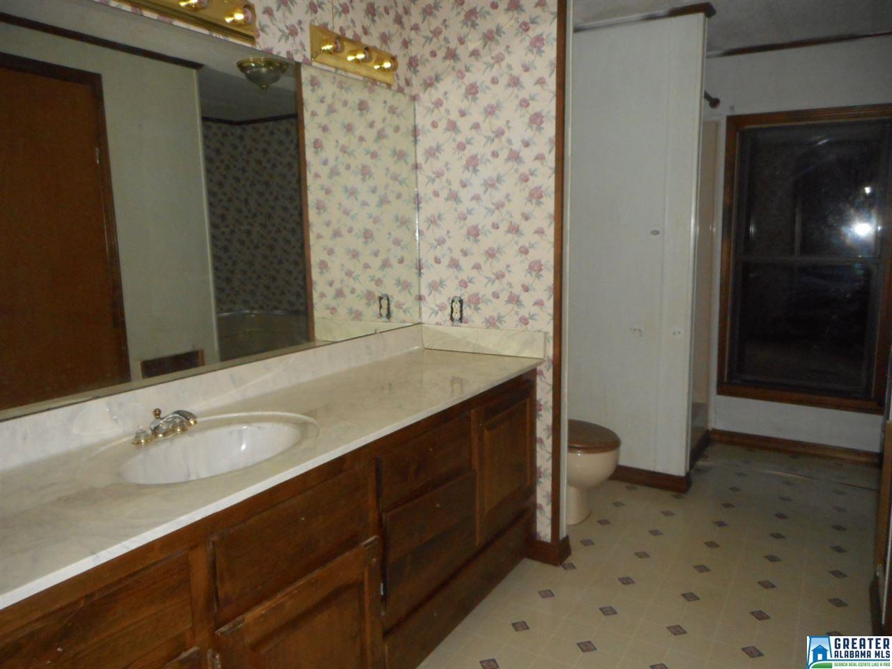 147 Putman Dr, Oneonta, AL 35121 photo 8