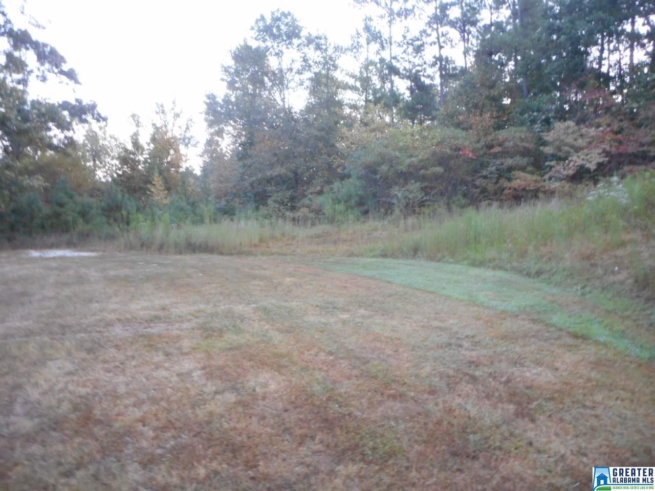 147 Putman Dr, Oneonta, AL 35121 photo 13