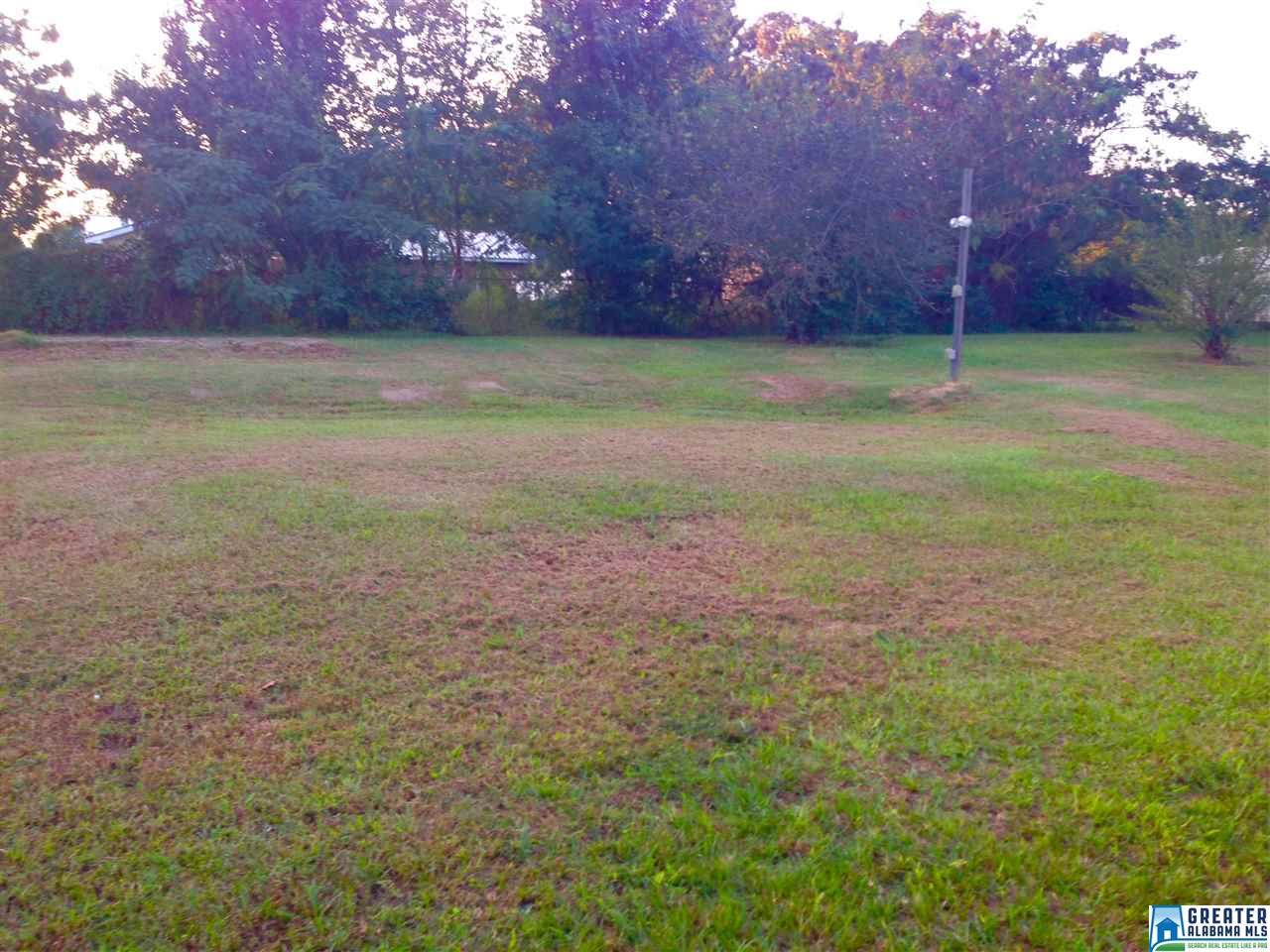 111 Coker St, Clanton, AL 35045 photo 14