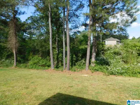 524 Smith Rd, Trafford, AL 35172 photo 35