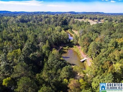 8640 Mudd St, Ohatchee, AL 36271 photo 1