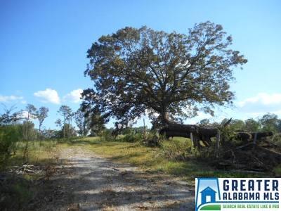 5625 County Road 754, Clanton, AL 35045 photo 10