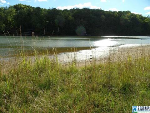 269 Arrowhead Dr, Delta, AL 36258 photo 42