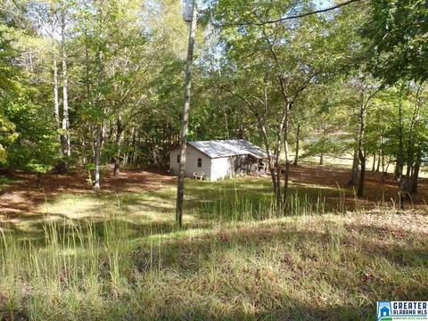 269 Arrowhead Dr, Delta, AL 36258 photo 46