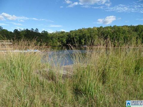 269 Arrowhead Dr, Delta, AL 36258 photo 41