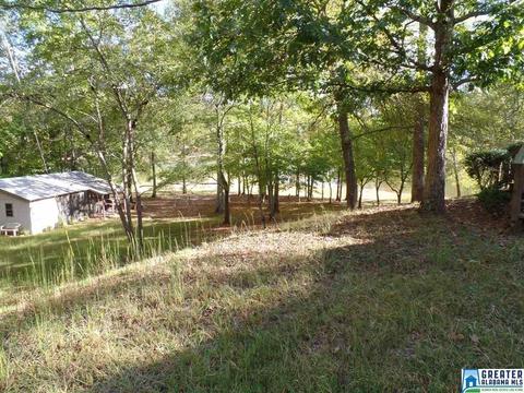 269 Arrowhead Dr, Delta, AL 36258 photo 45