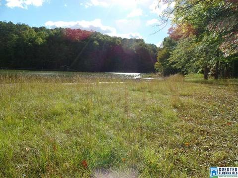 269 Arrowhead Dr, Delta, AL 36258 photo 38