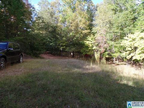 269 Arrowhead Dr, Delta, AL 36258 photo 47