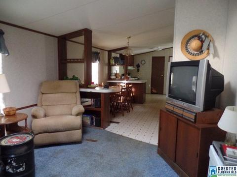 269 Arrowhead Dr, Delta, AL 36258 photo 27