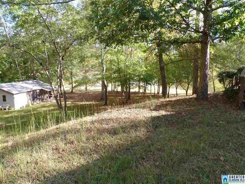 269 Arrowhead Dr, Delta, AL 36258 photo 21