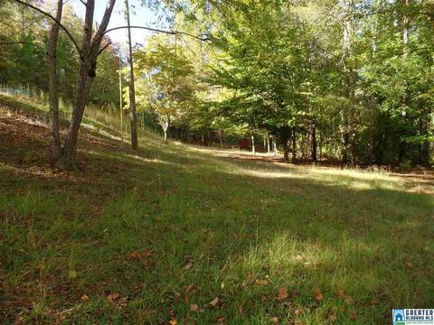 269 Arrowhead Dr, Delta, AL 36258 photo 20