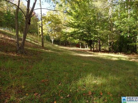 269 Arrowhead Dr, Delta, AL 36258 photo 44