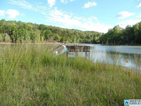 269 Arrowhead Dr, Delta, AL 36258 photo 40