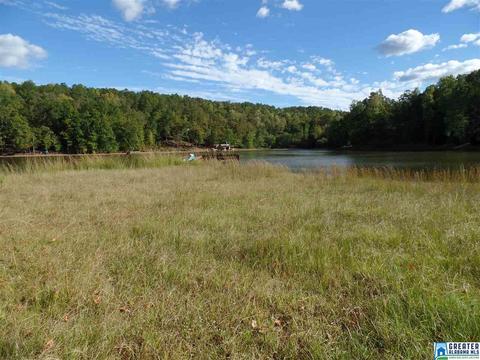 269 Arrowhead Dr, Delta, AL 36258 photo 13