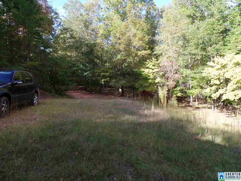 269 Arrowhead Dr, Delta, AL 36258 photo 23