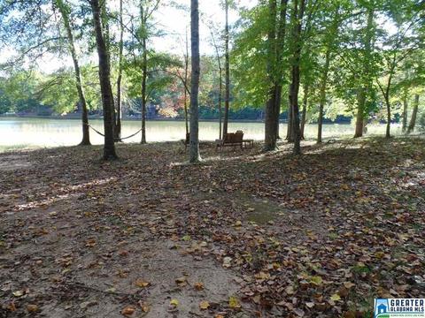 269 Arrowhead Dr, Delta, AL 36258 photo 36