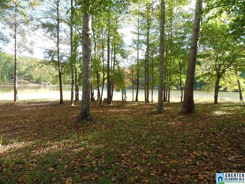 269 Arrowhead Dr, Delta, AL 36258 photo 48